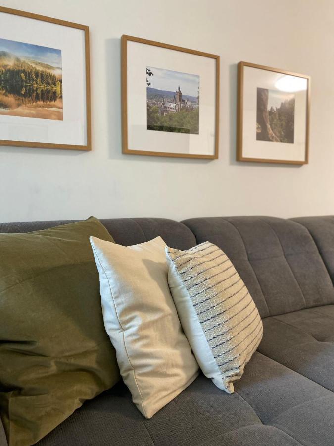 Ferienwohnung Braunlage-Harz Schwimmbad-Sauna, Wlan, Parkplatz Bagian luar foto